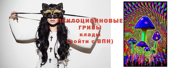 синтетический гашиш Богородицк