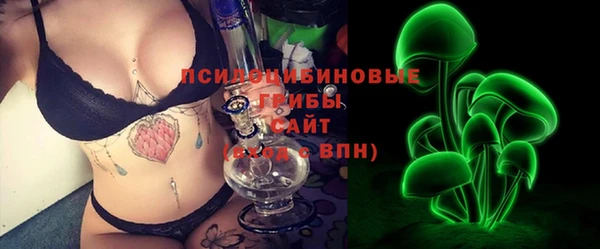 синтетический гашиш Богородицк