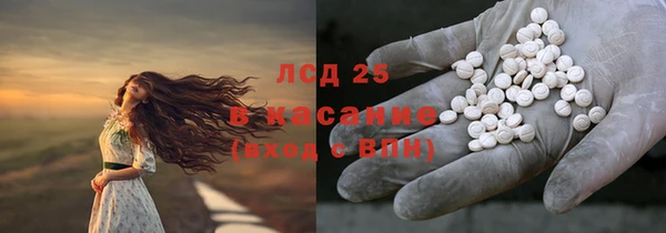 ECSTASY Белокуриха
