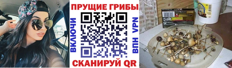 это какой сайт  купить  сайты  Воркута  Псилоцибиновые грибы мухоморы 